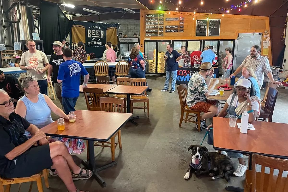 Dogs and their people gathered at a Waco Yappy Hour event